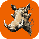 Pumba Safaris